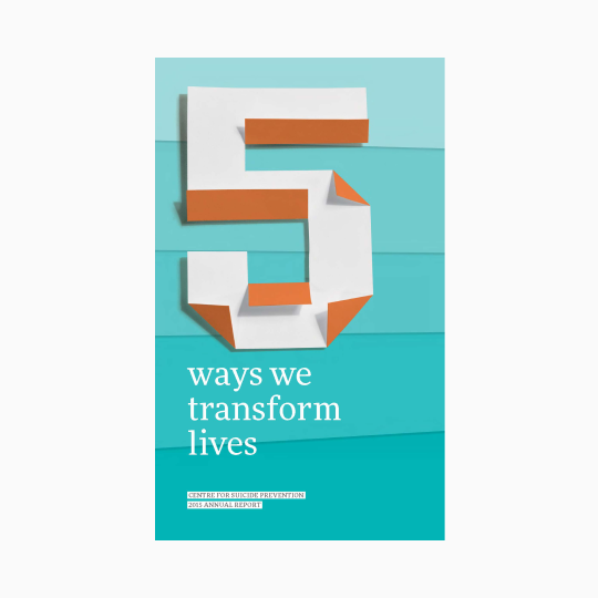 5 ways we transform lives Audited Financials 2015-16