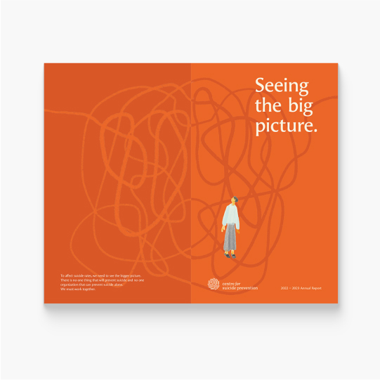 Seeing the Big Picture